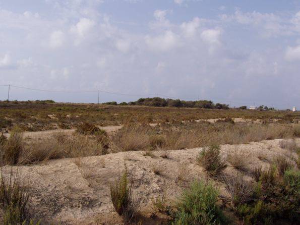 Salinas de Santa Pola