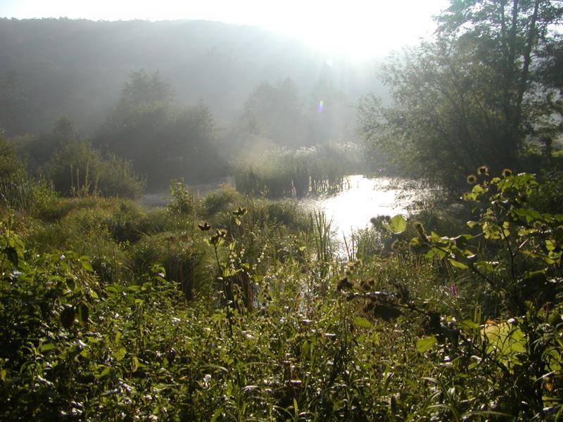 Střelická bažinka